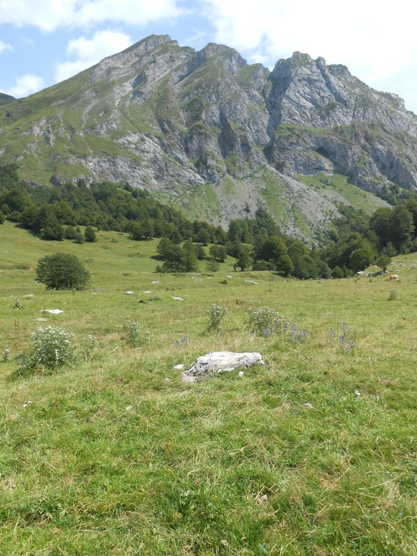 Characou 5 trikuharria