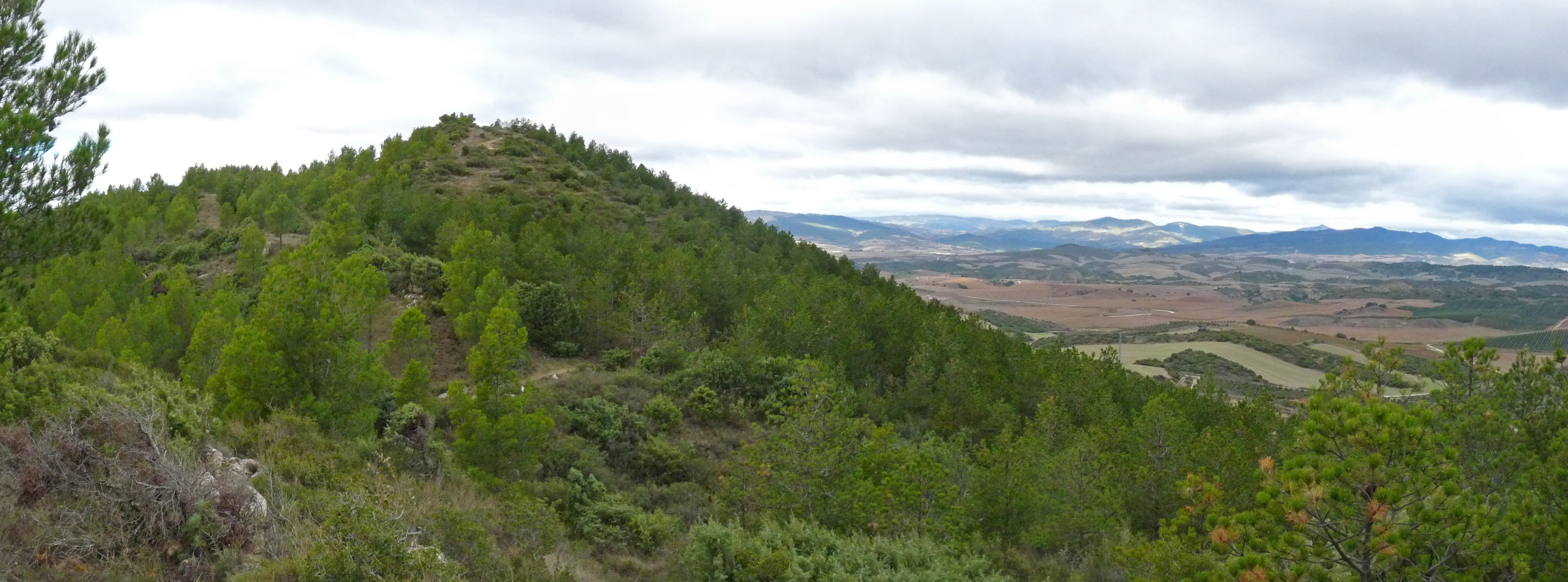 Gazteluzar Larrabeltzetik