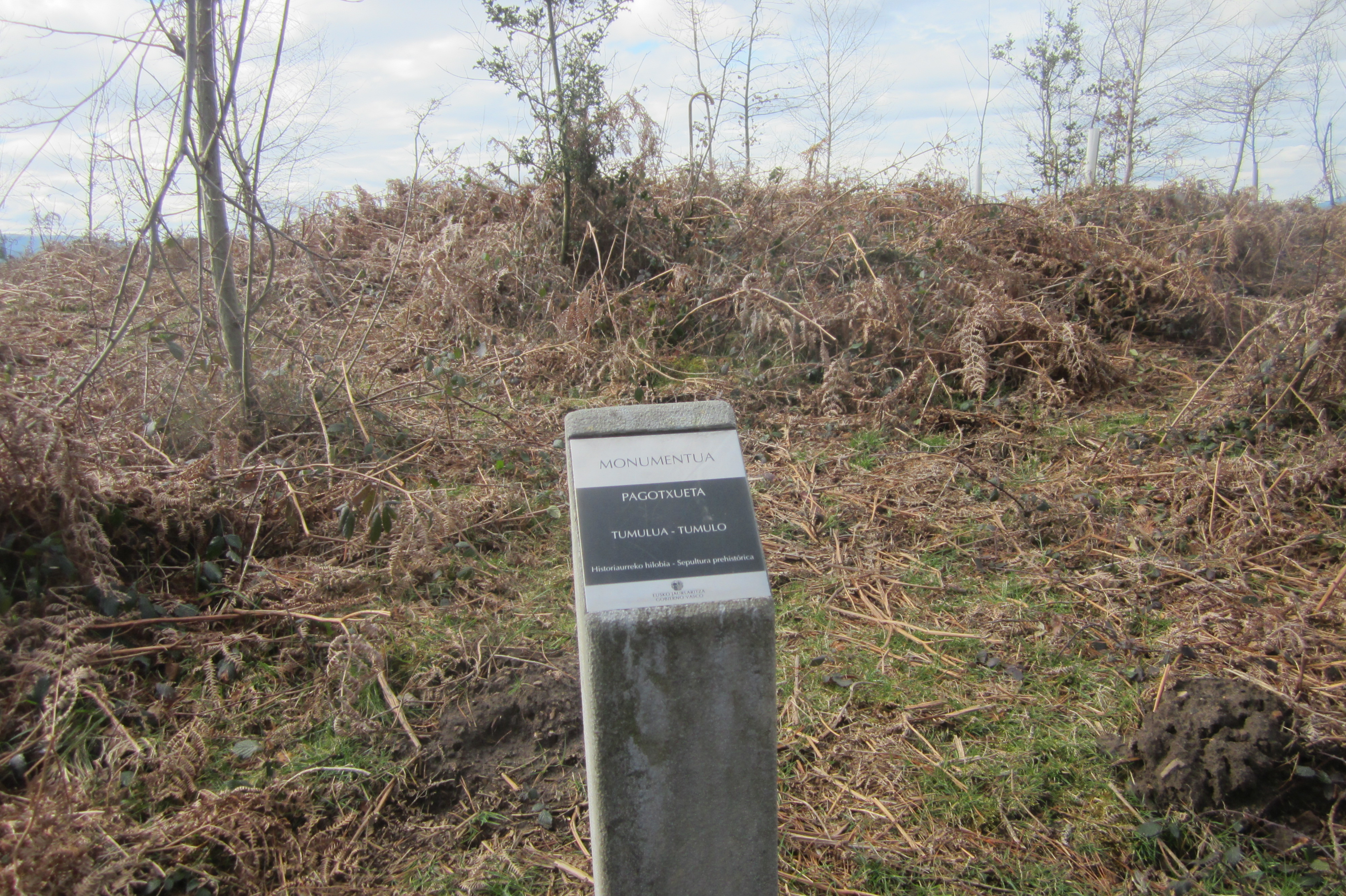 Túmulo Pagotxueta 1 (Febrero 2018)