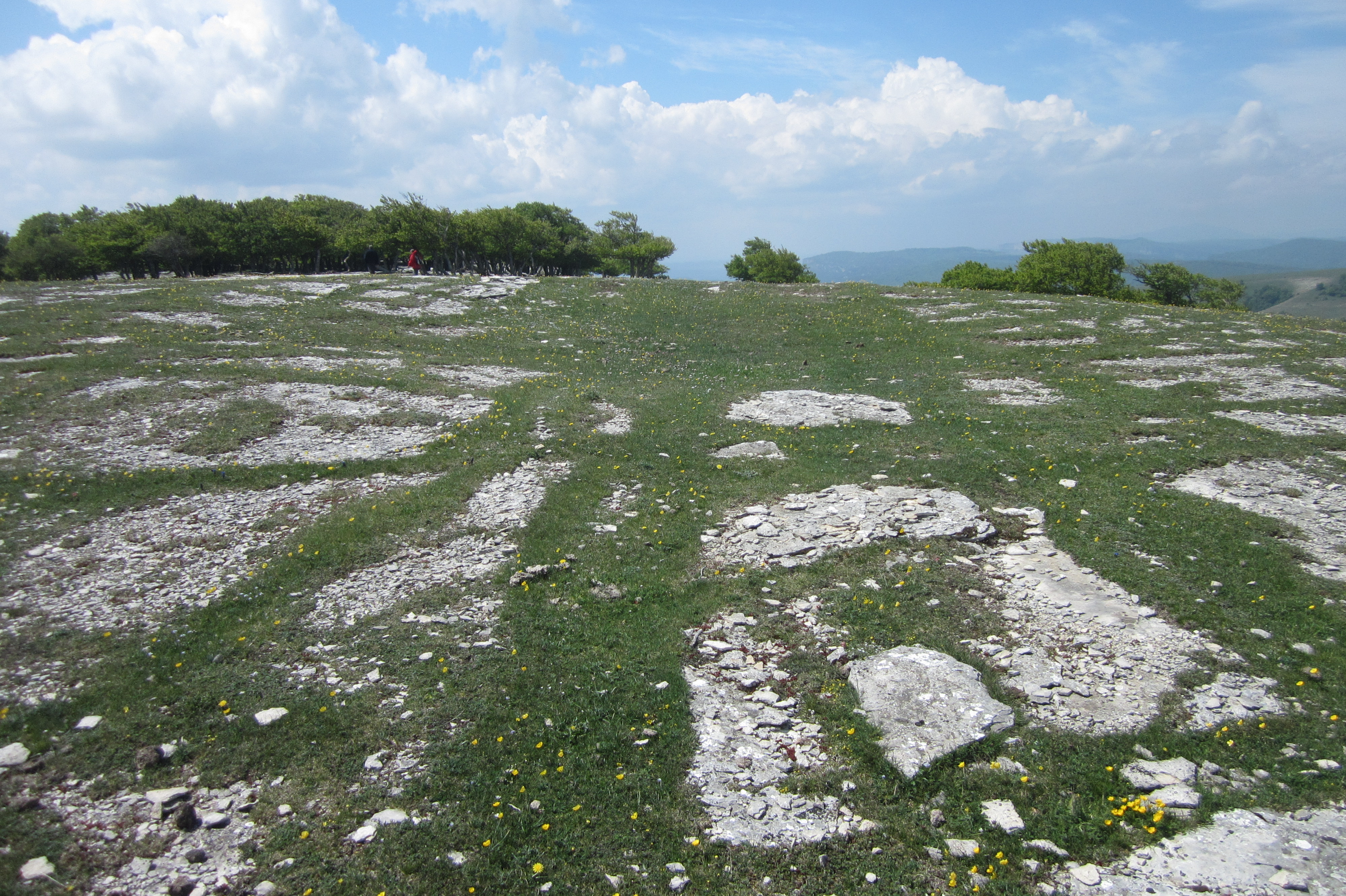 Túmulo Anular Zaurogi (Mayo 2018)