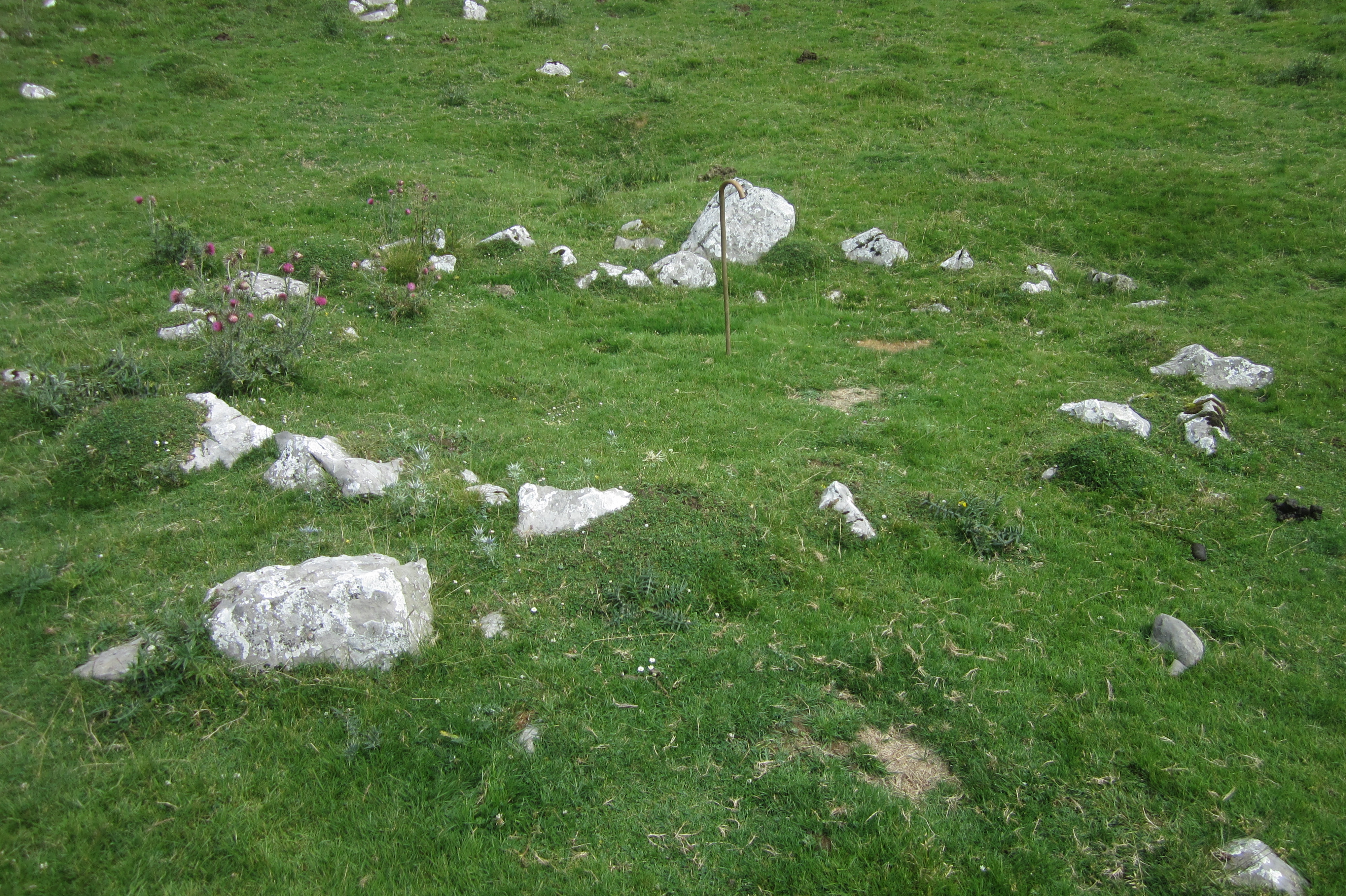 Cromlech Alborta (Julio 2018)