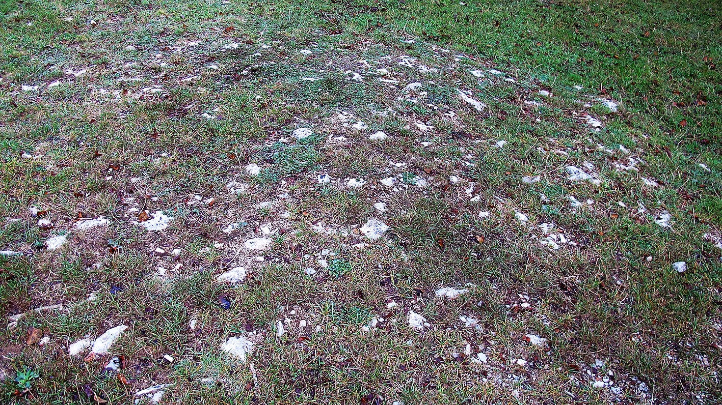 Ezkizako pista tumulua, Urbasa