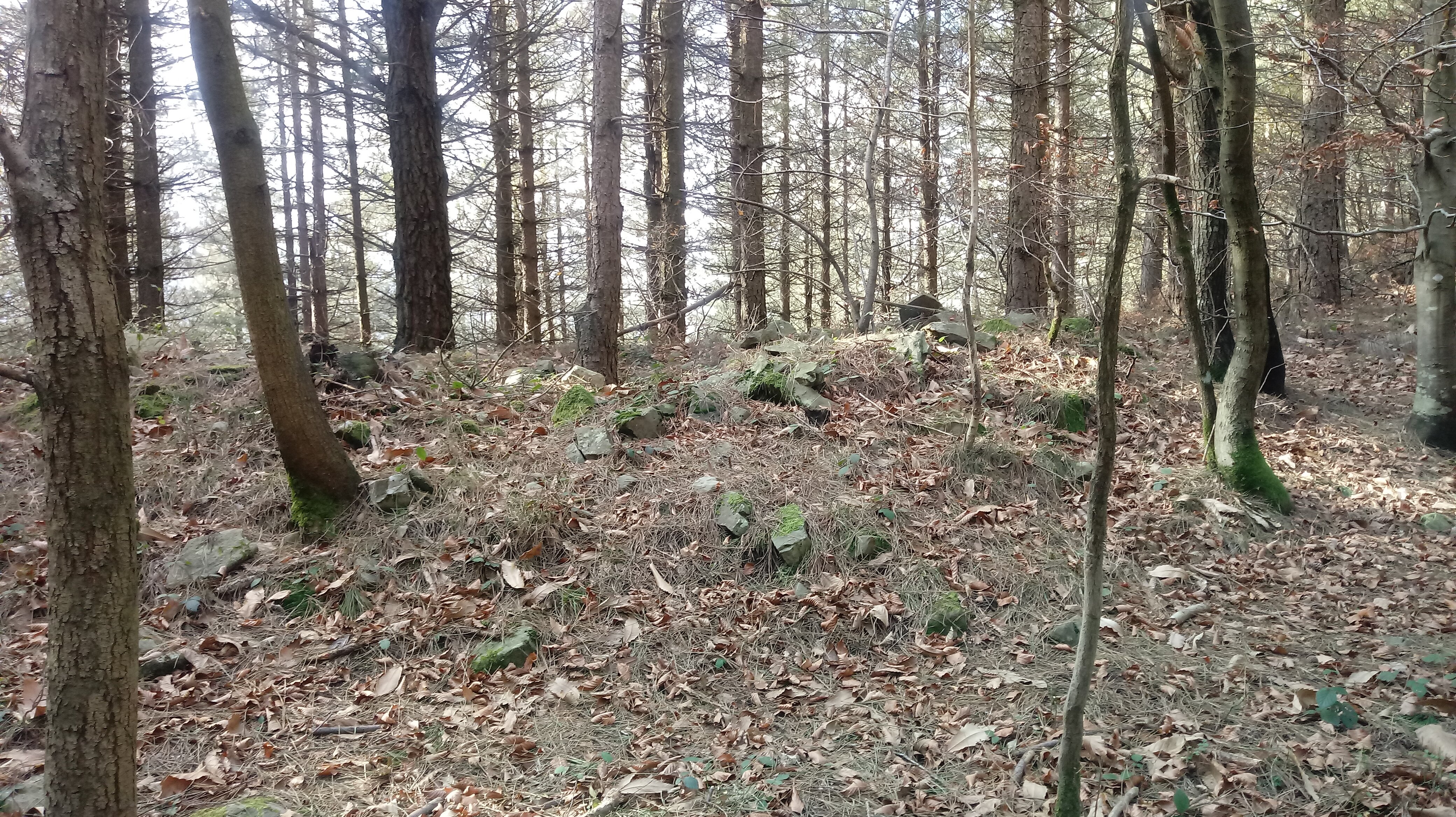 Lizarmendi tumuloa 3