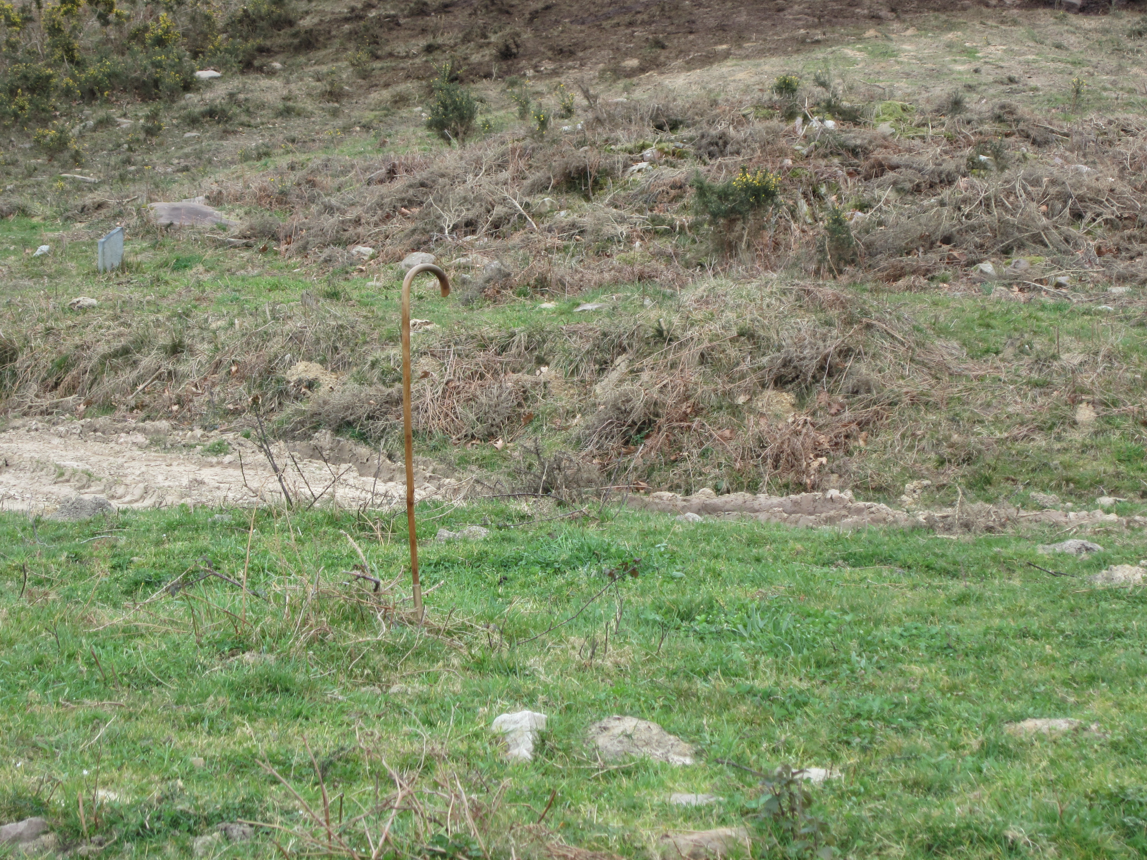 Dólmen Landarbaso VII* (Detrás el Dólmen VI Marzo 2013)