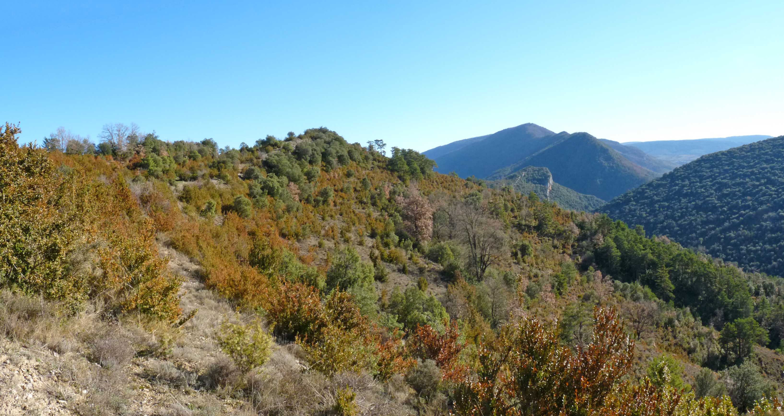 Montetesko gainaldea