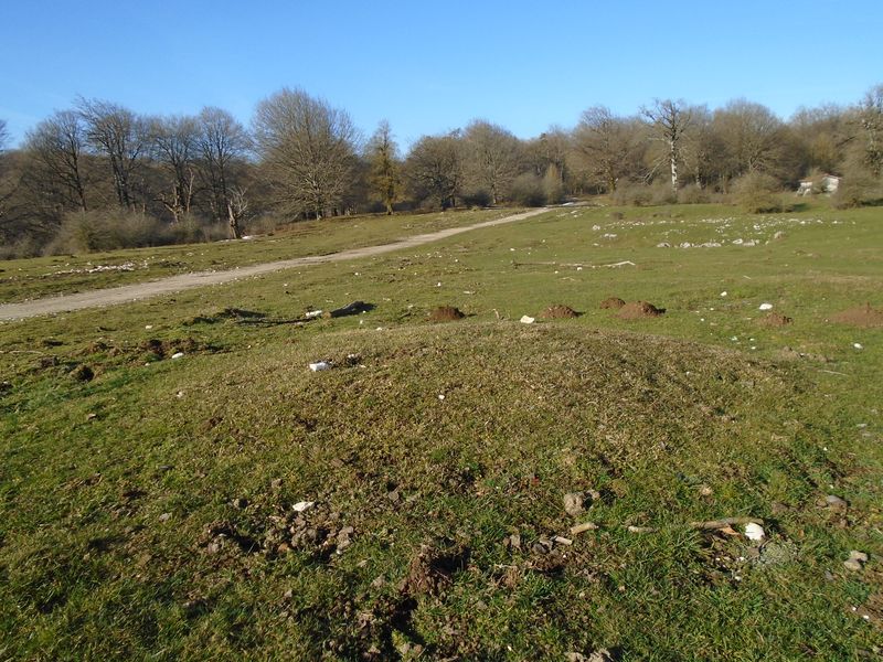 bidoiza etxola hondoa