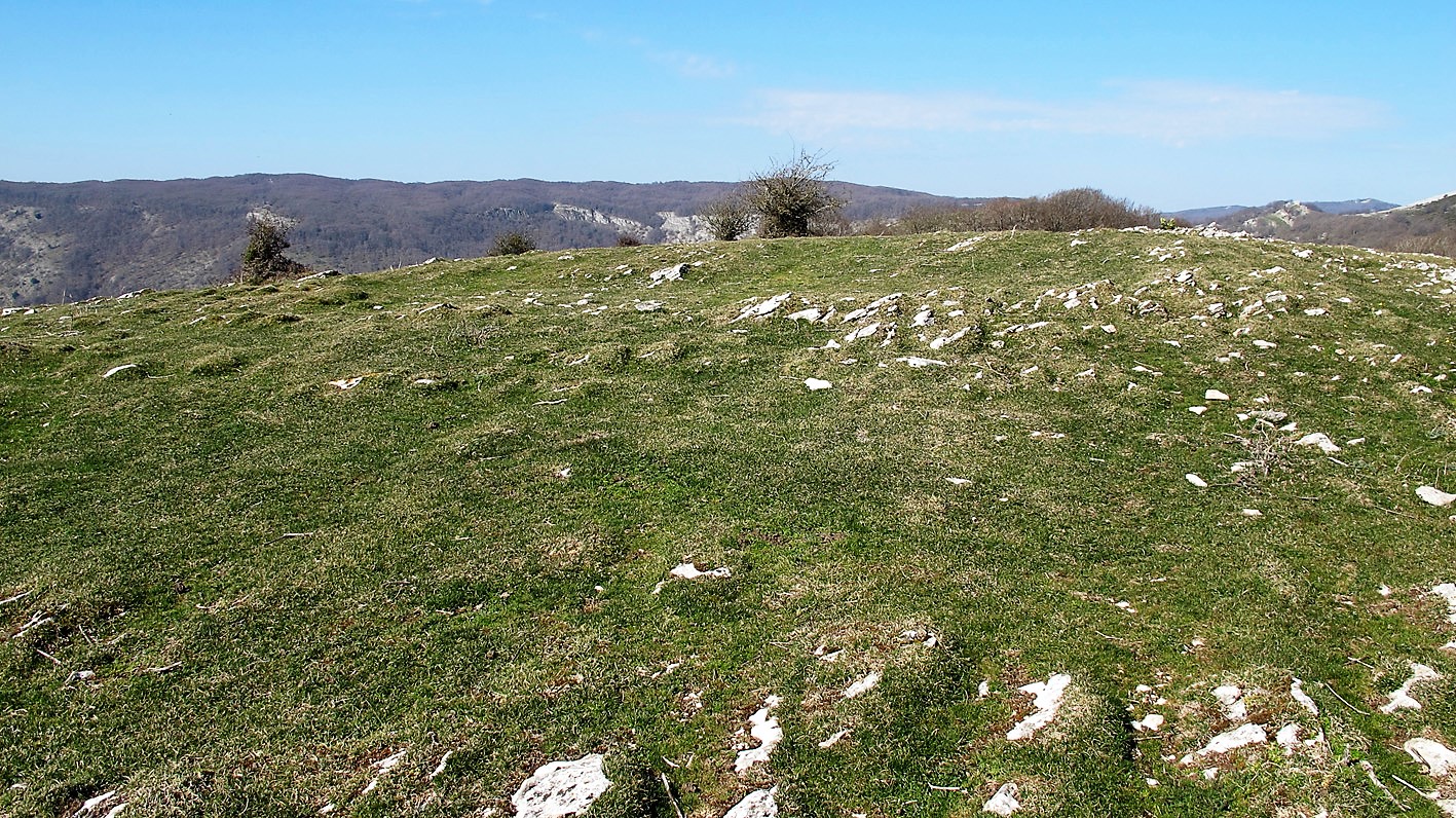 Ollideko Bizkarra eraztun tumulua, Urbasa