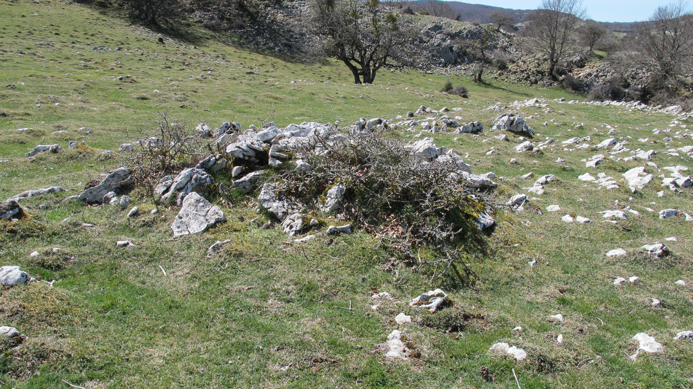 Gaztansao 1 tumulua, Urbasa