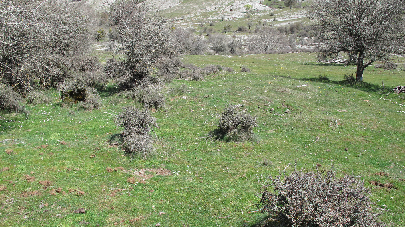 Zalbide 2 norte eraztun tumulua, Urbasa