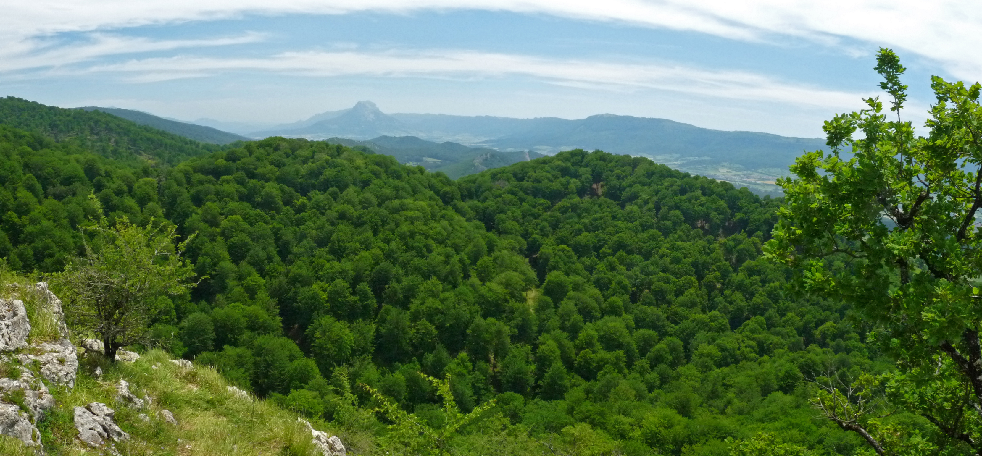 Aizkaia eta Musarrako haitzak
