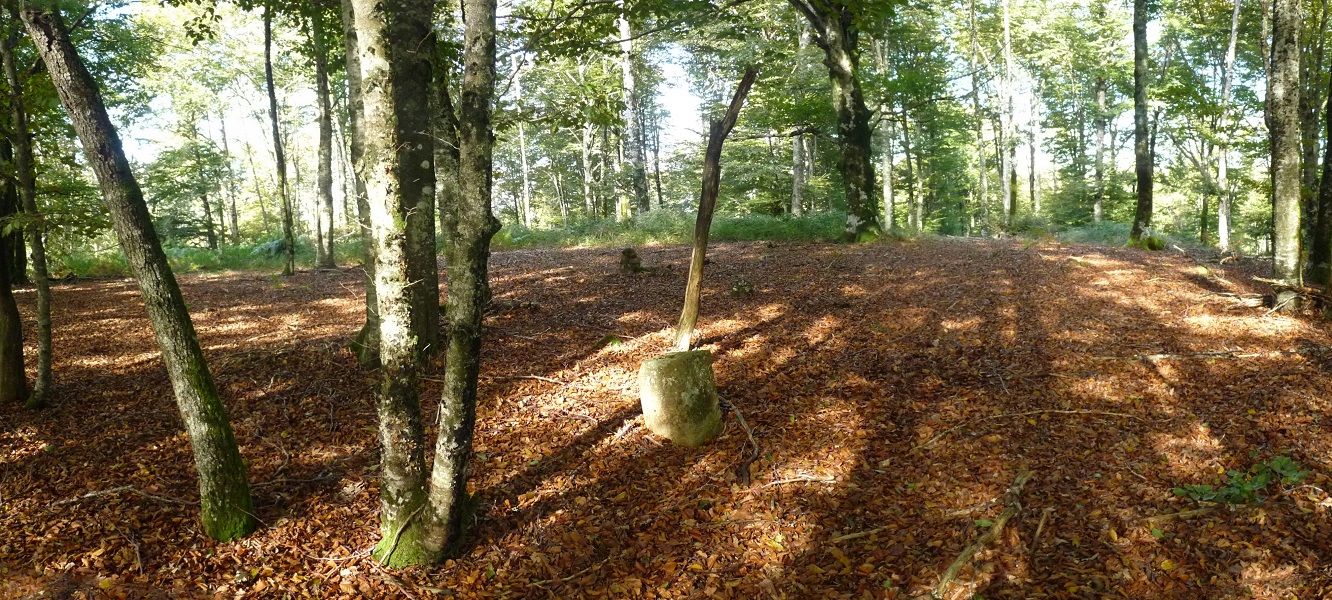 Piilotasoroko gailurra