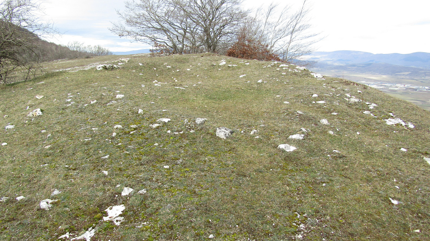 Puerto San Juan tumulua, Arraia-Maeztu