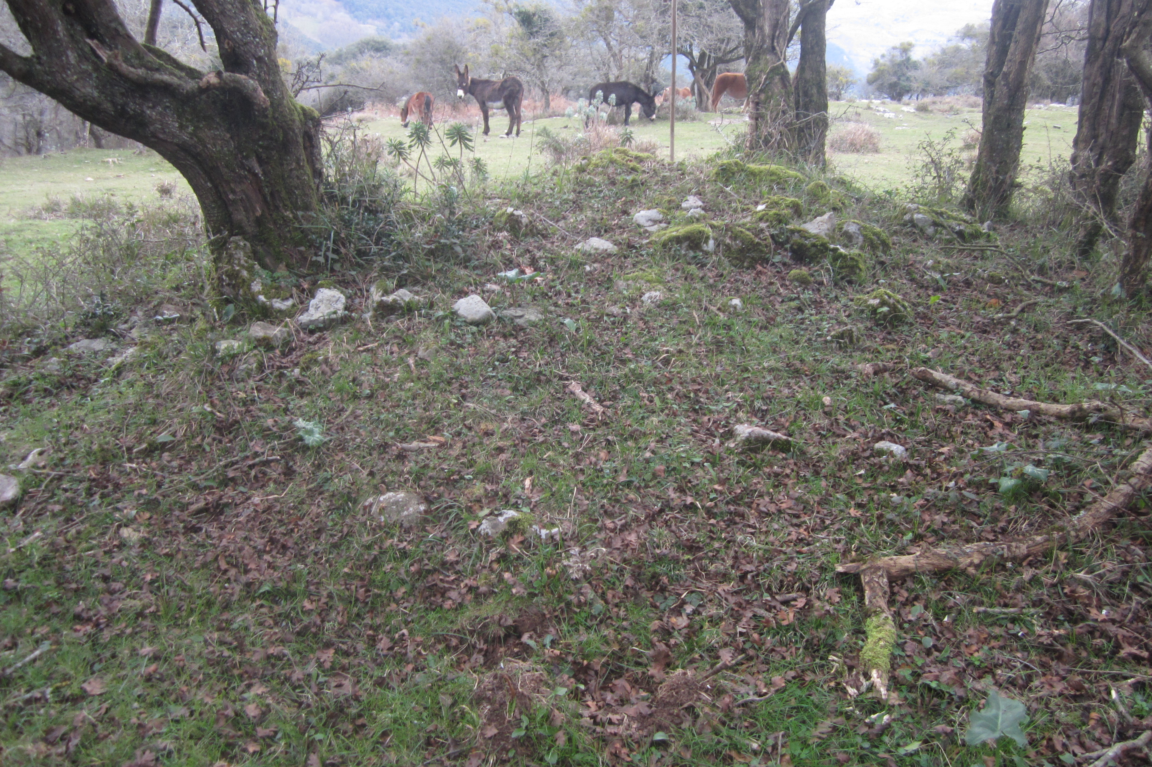 Campo Tumular Ariztiaundi nº 2 (Enero 2020)