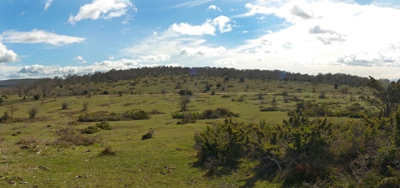 Arastegi, mendebaldetik