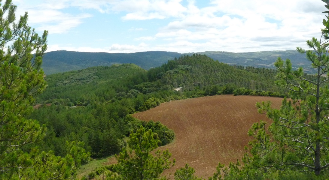 Kastellarko bi gialurrak