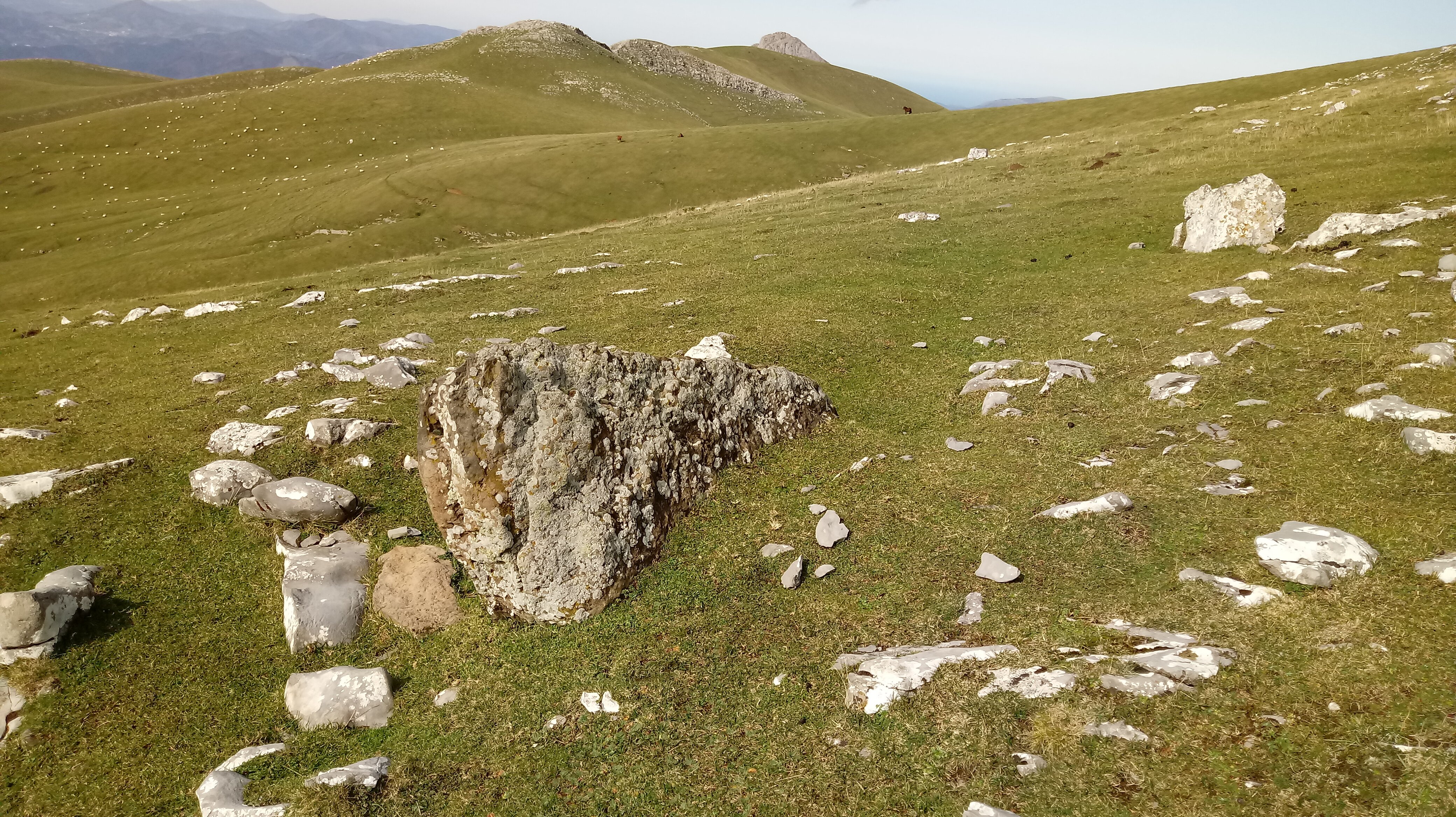 Ganboa Txiki I trikuharria