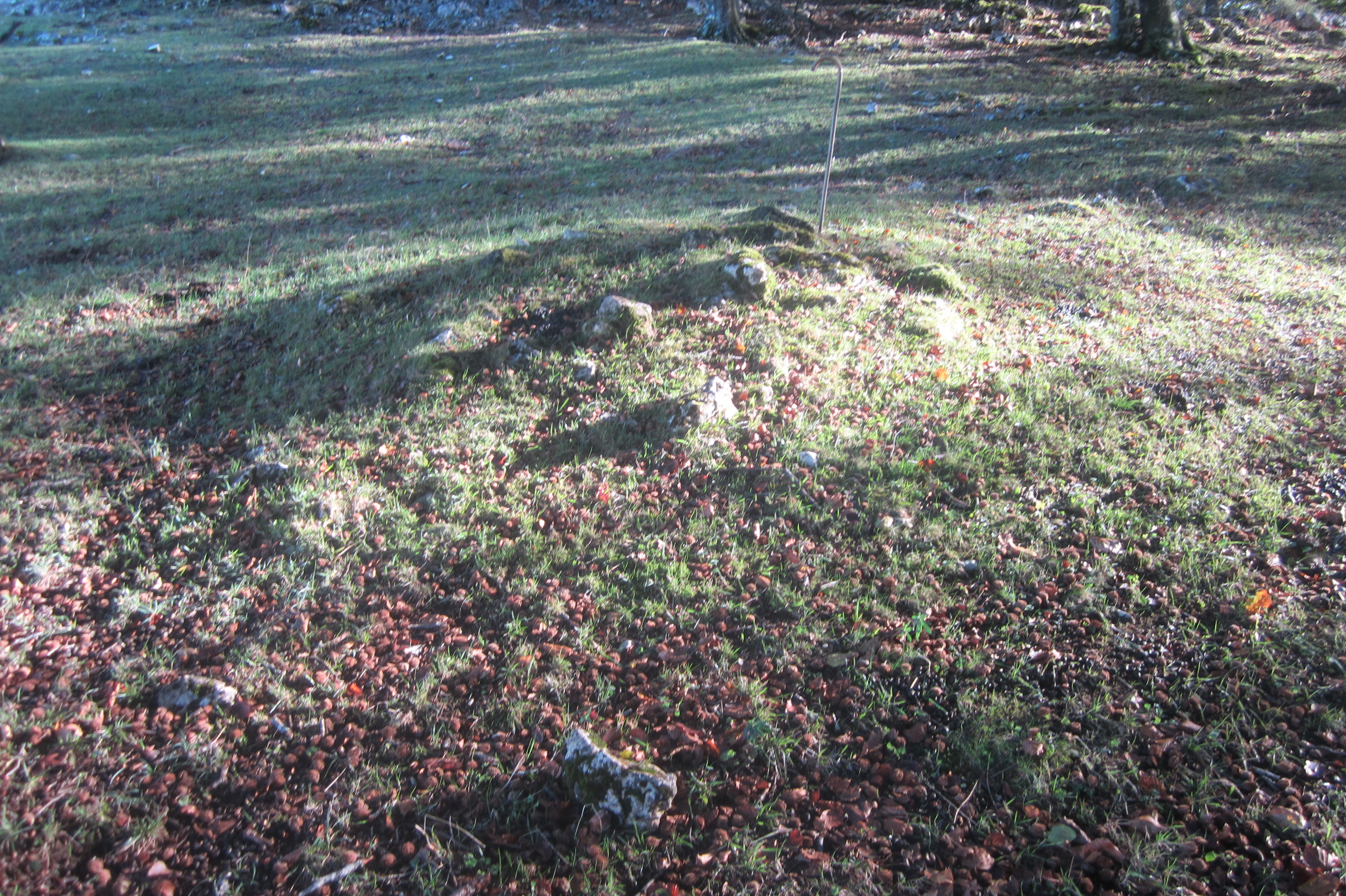 Túmulo Txumartegi IV oeste (Octubre 2020)