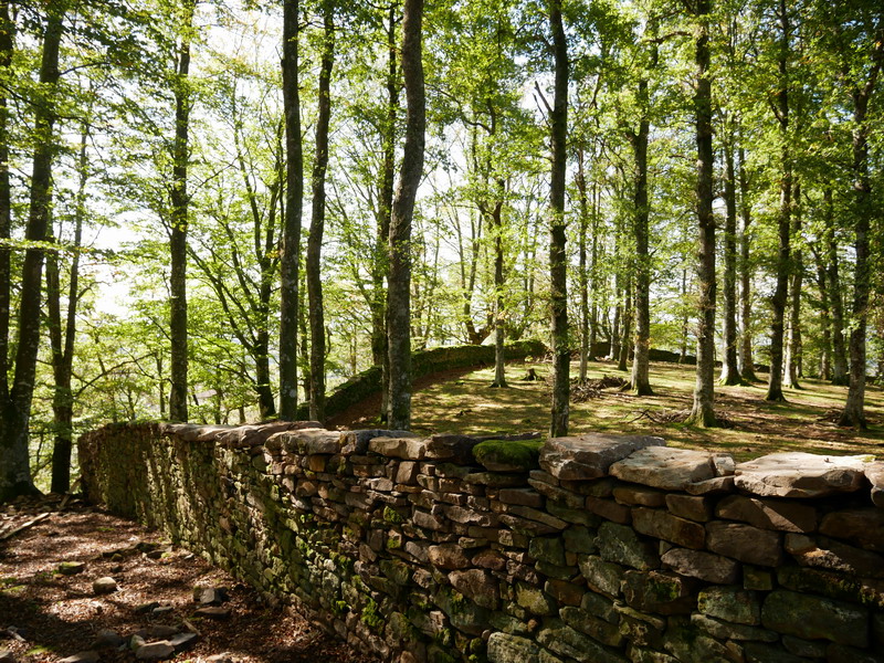 Arlamendiko mintegia