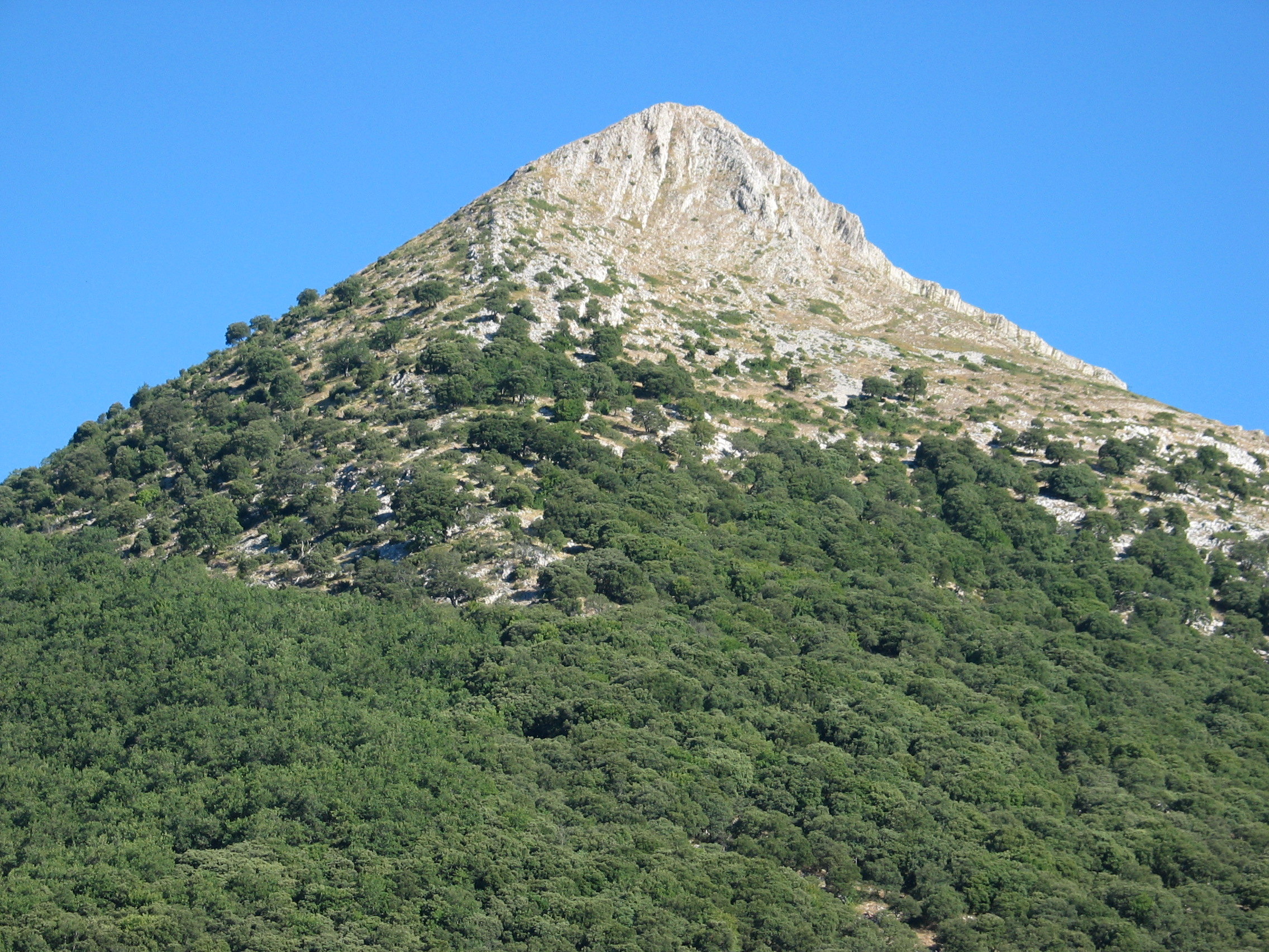 Iltzarbe aldetik ikusita itxura polita du.