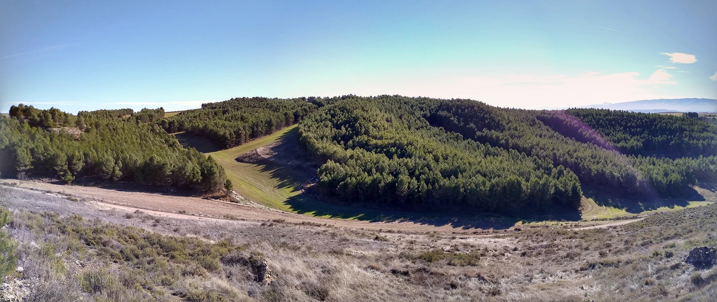 Planilla, mendebaltetik ikusta