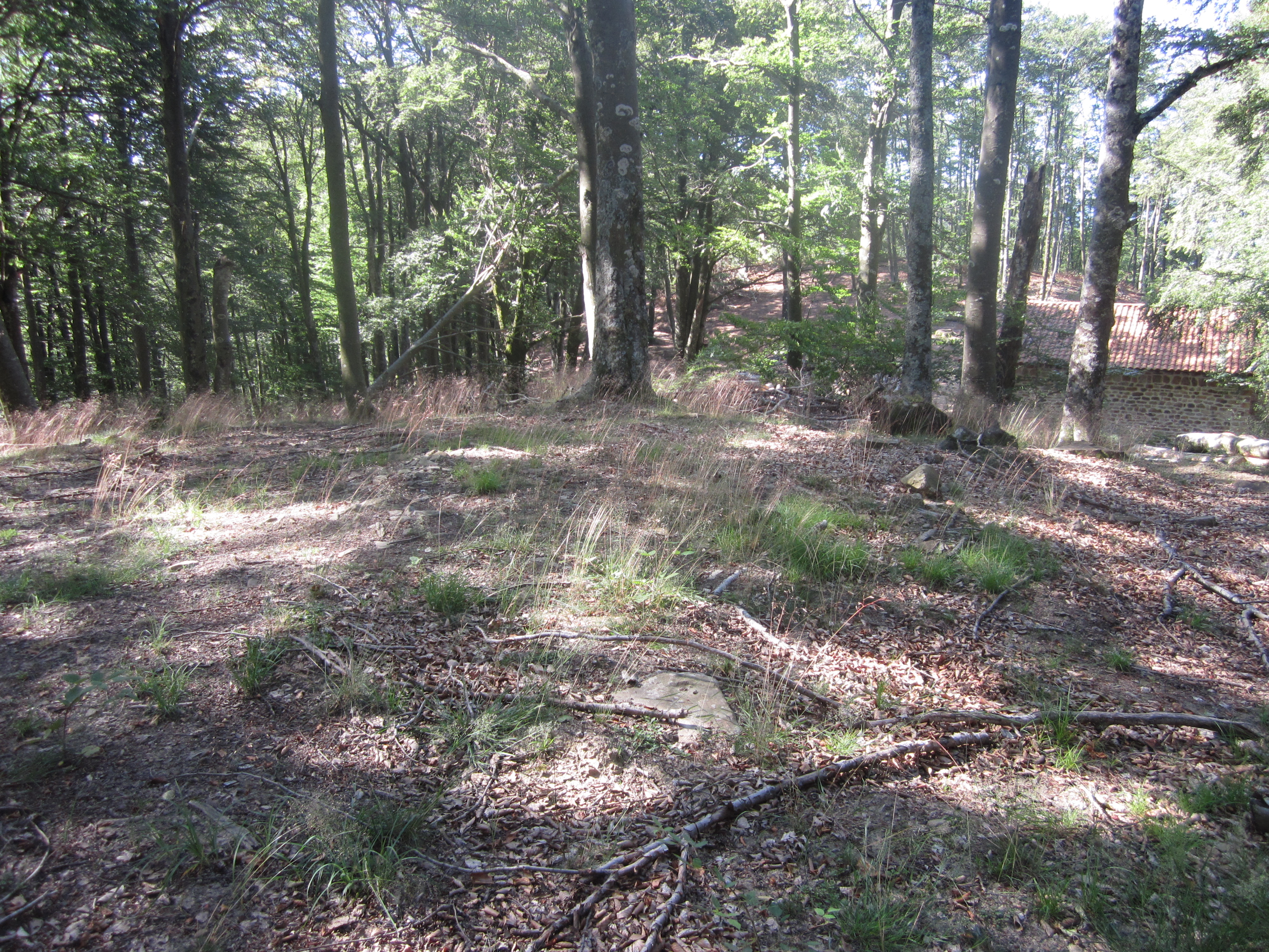 Dólmen Auntzetxe (Julio 2013)