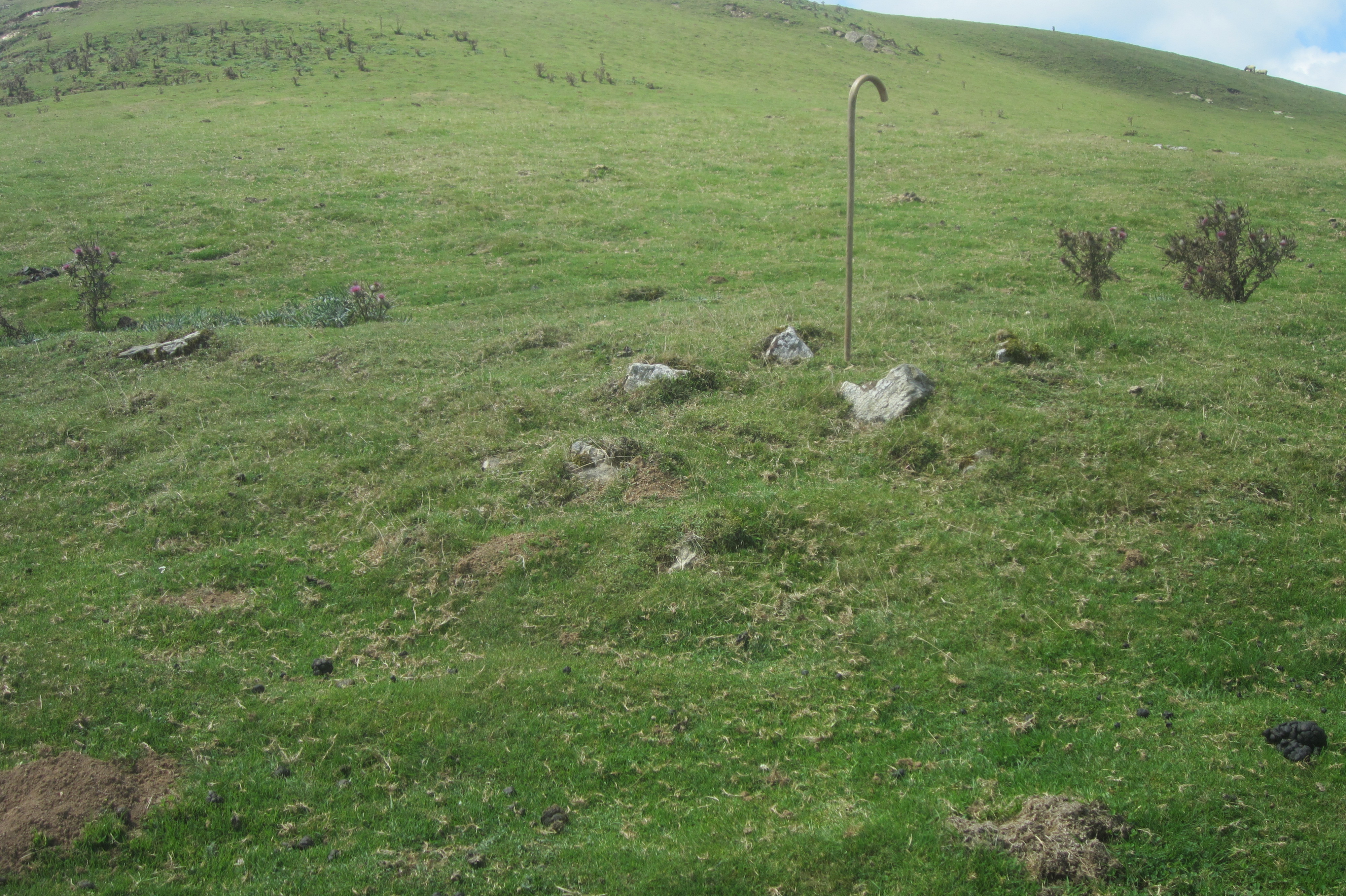 Túmulo Beardegiko Gaña II (Agosto 2021)