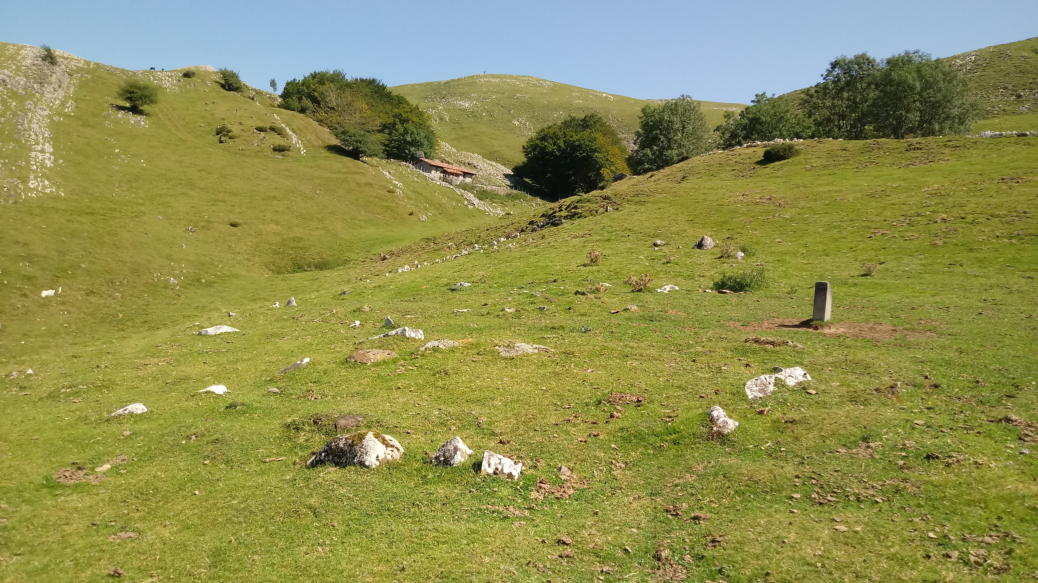 Elutseta harrespila (2021)