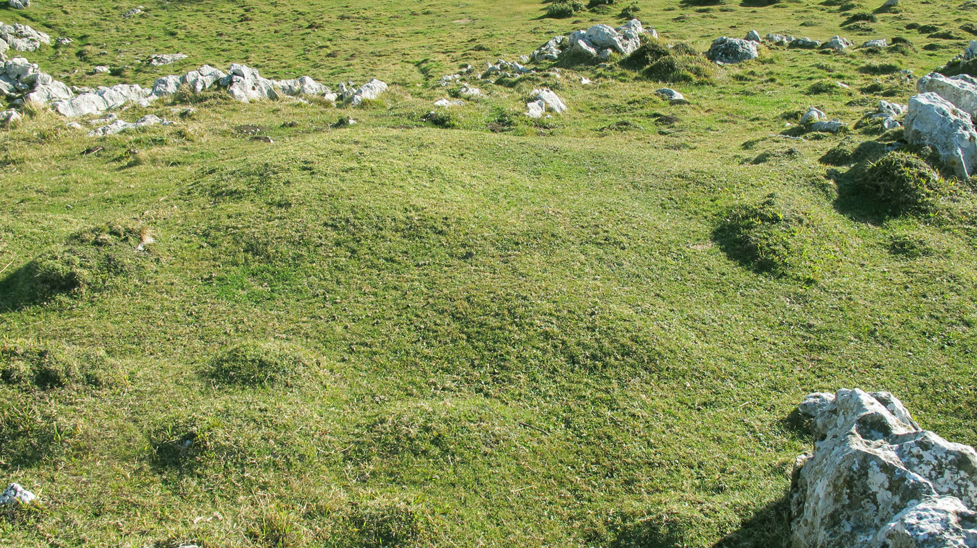 Iruzulo 2 ipar etxola hondoa, Erregenea