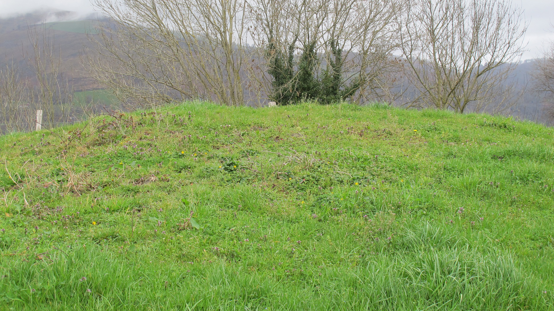 Etxeberriko Borda tumulua, Erratzu-Baztan