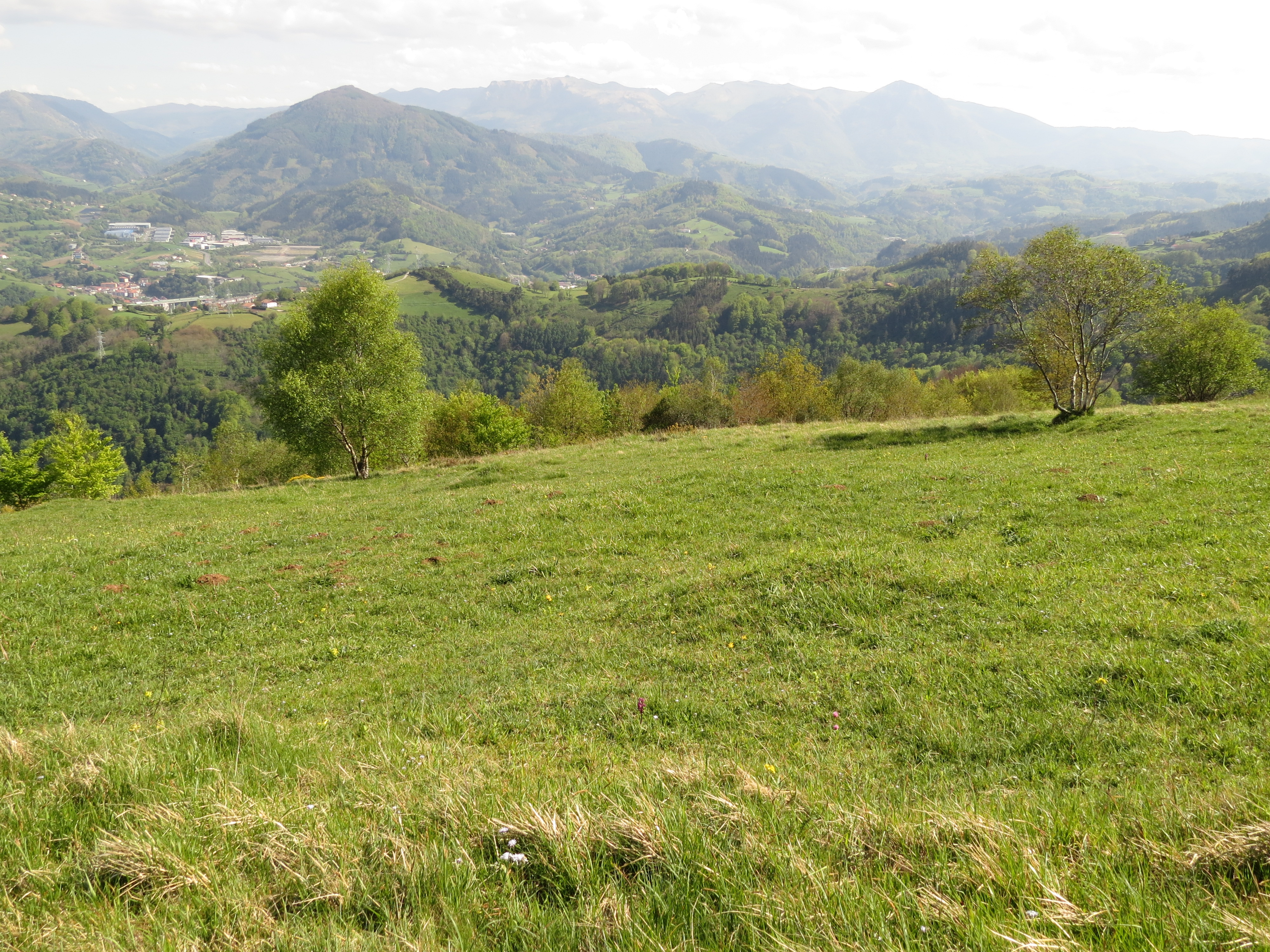 Campo tumular MENDIGAIN II