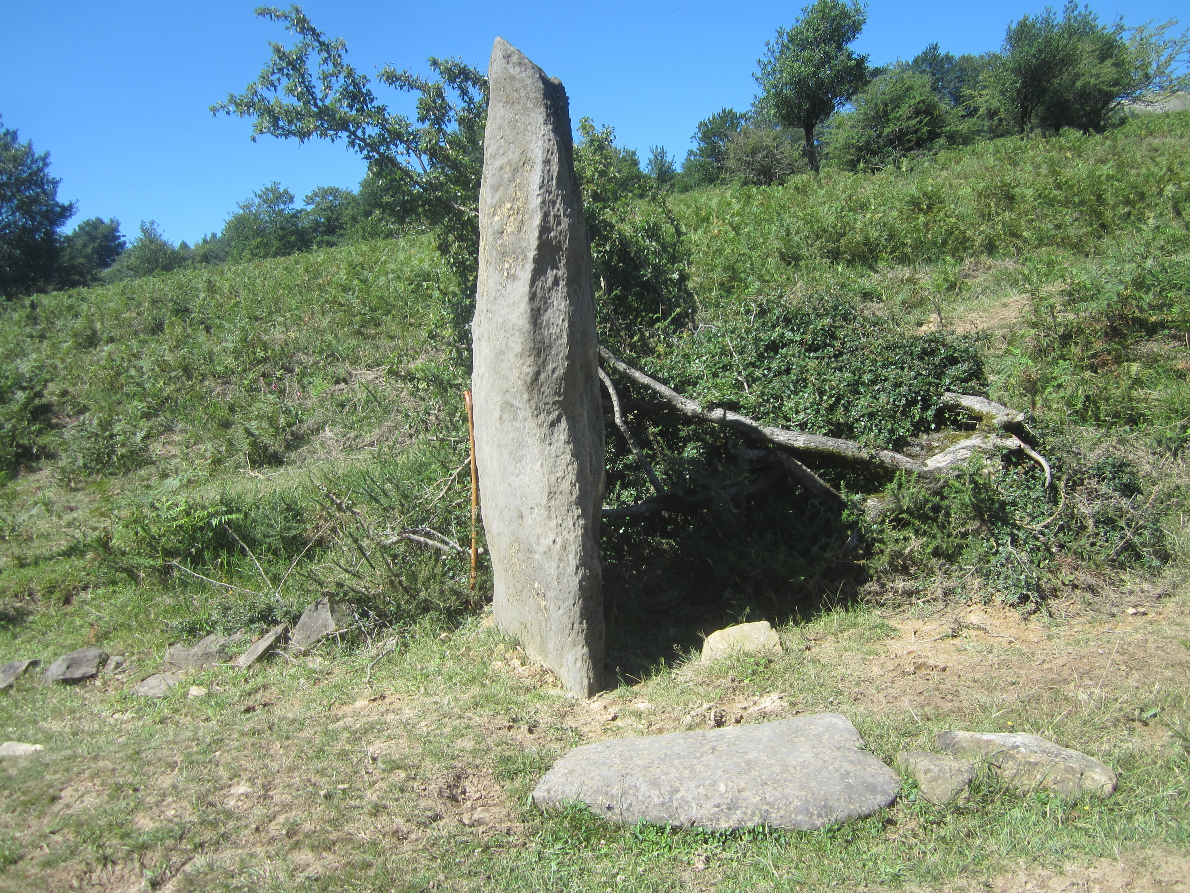 Monolito Naparbide (Junio 2022)