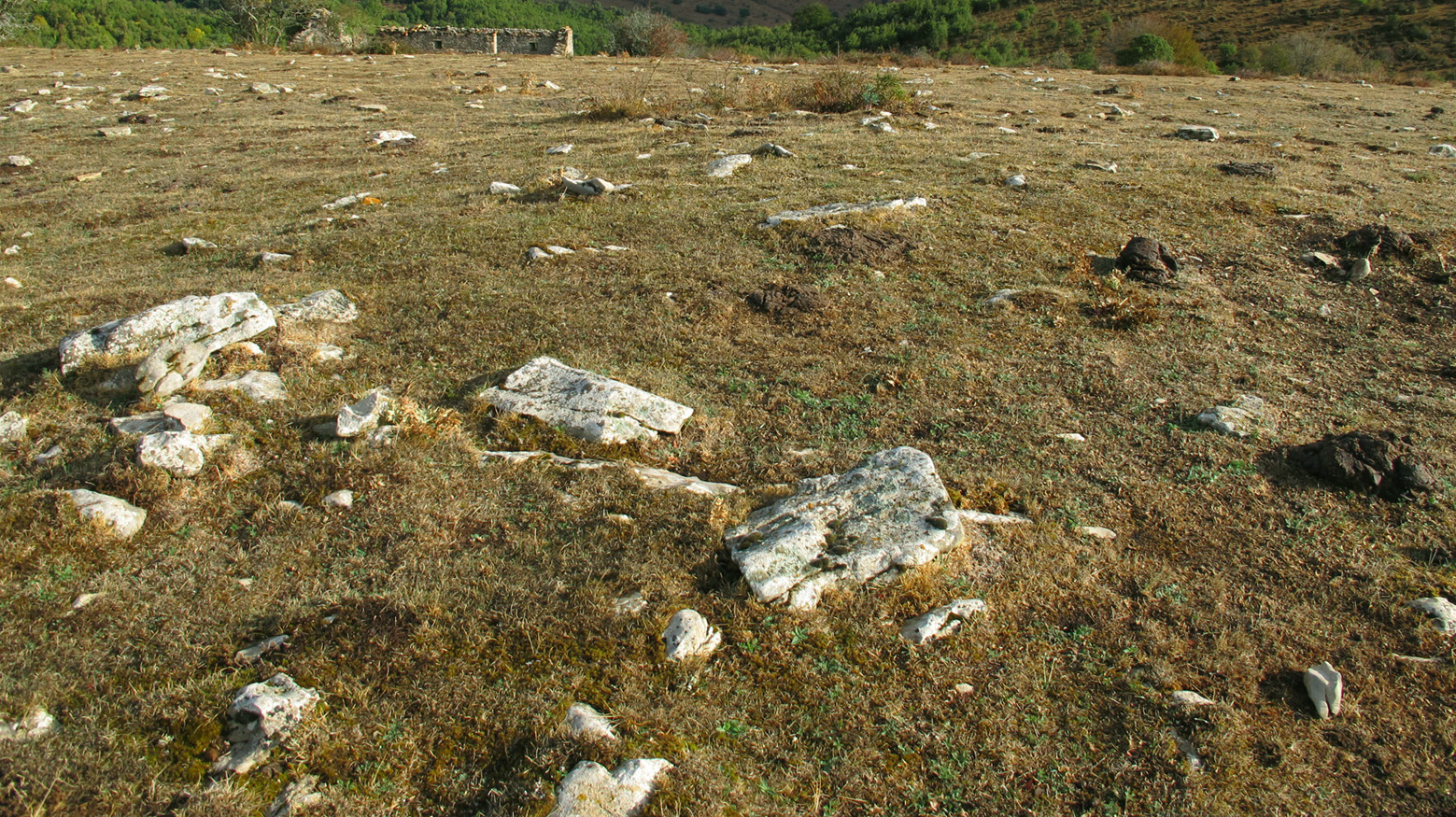 Corrales de Arteta 1 tumulua, Arteta-Ollo