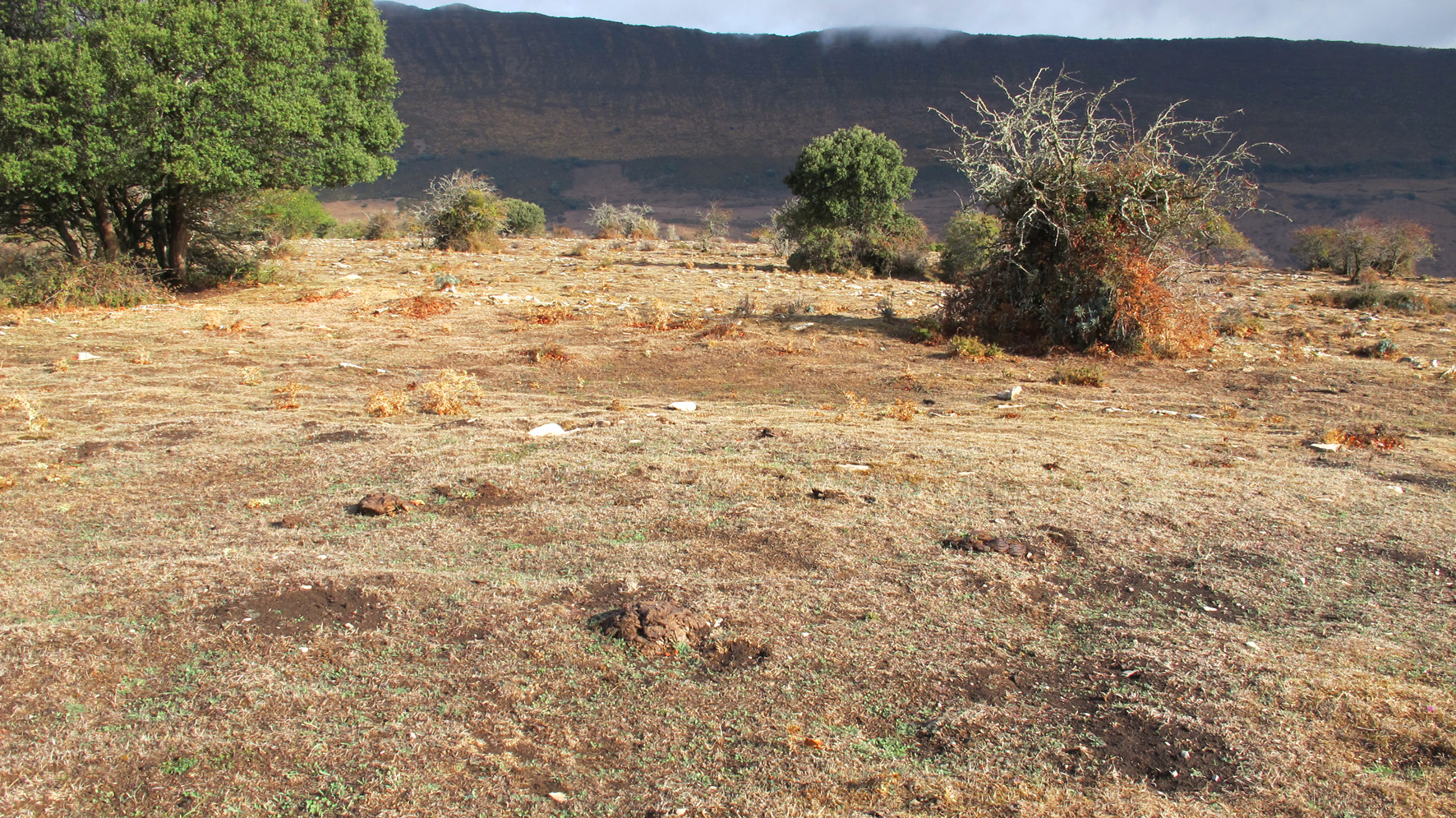Corrales de Arteta 4 etxola hondoa, Arteta-Ollo
