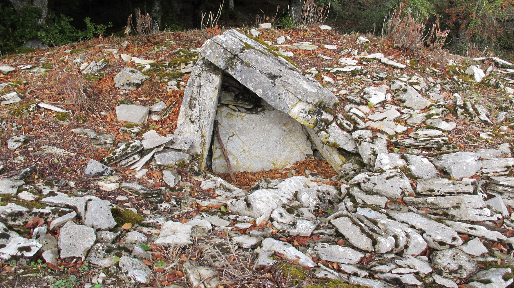 Artetako Trekua trikuharria, Arteta-Ollo