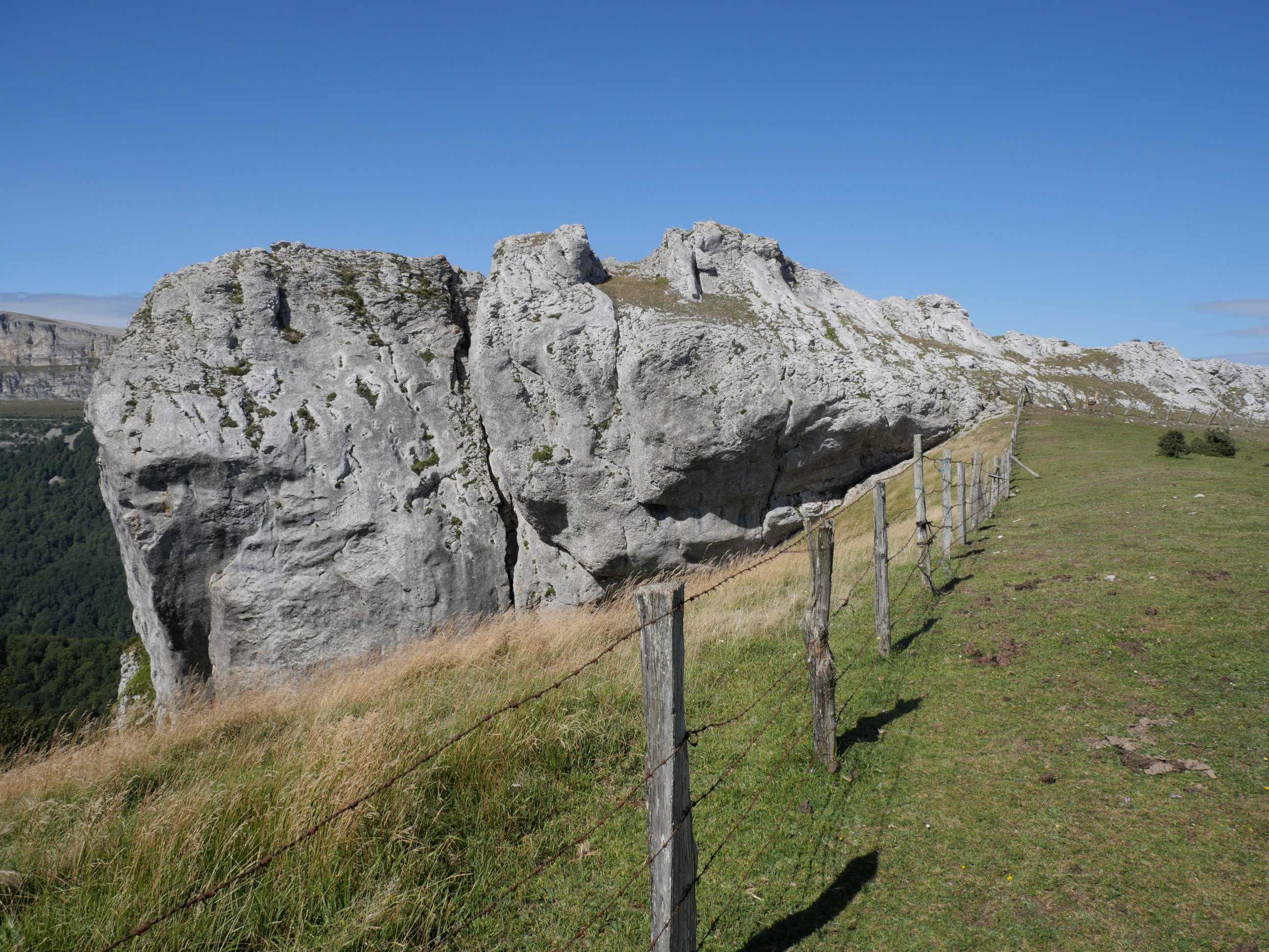 Aitzorrotz tontorra mendebaldetik