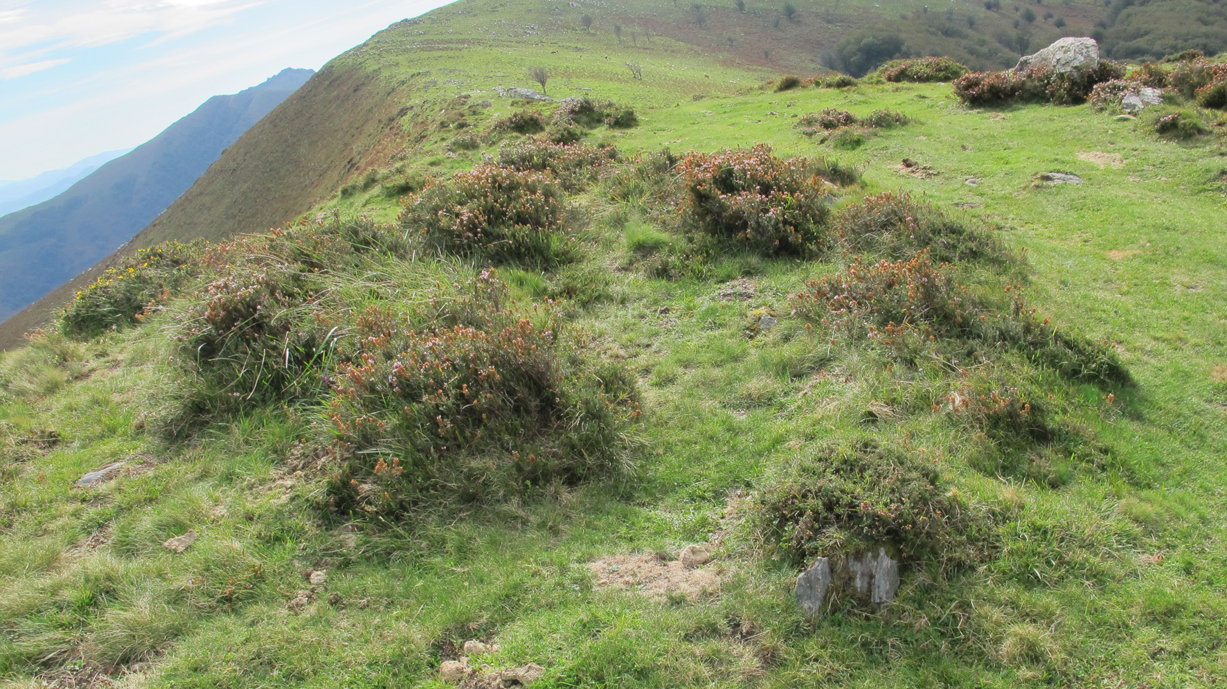 Beltzuntzako Harria harrespila, Goizueta