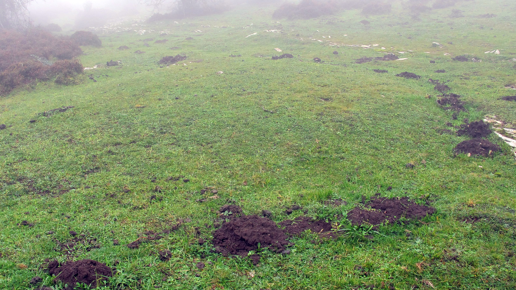 Pokapena 6 etxola hondoa, Andia