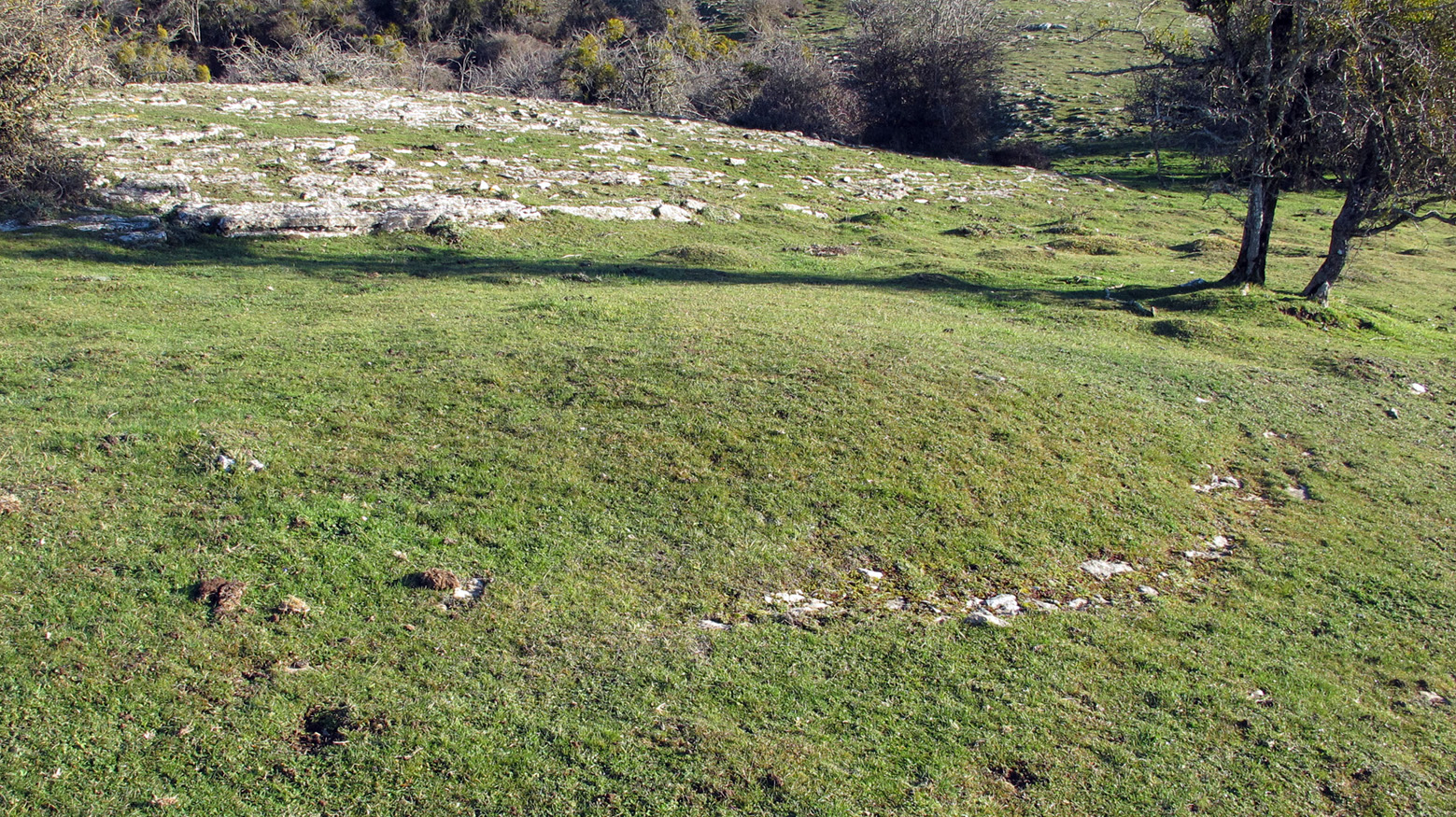 Anuelen 1 tumulua, Andia