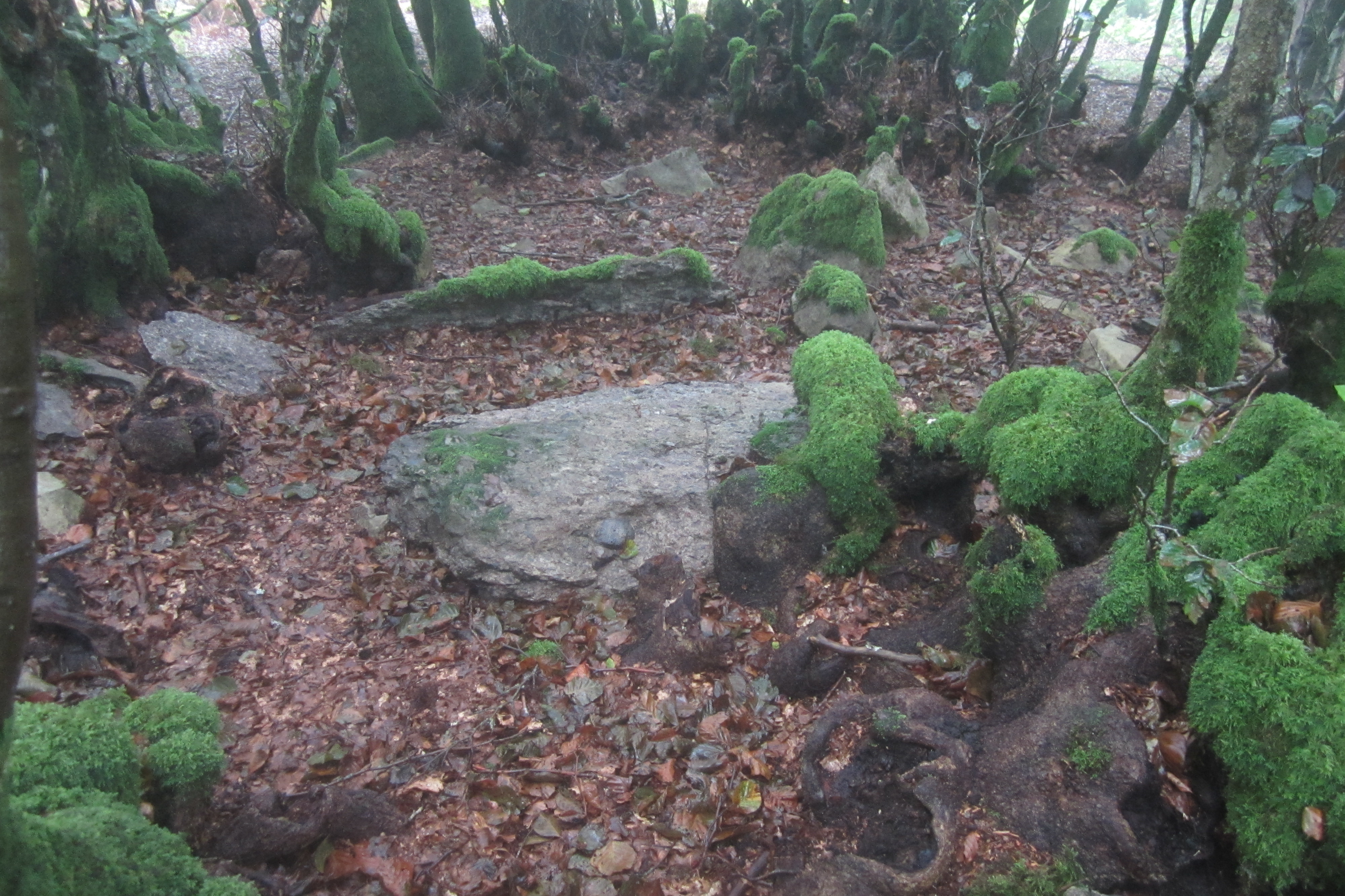 Dólmen Azkonazulueta (09-2021)