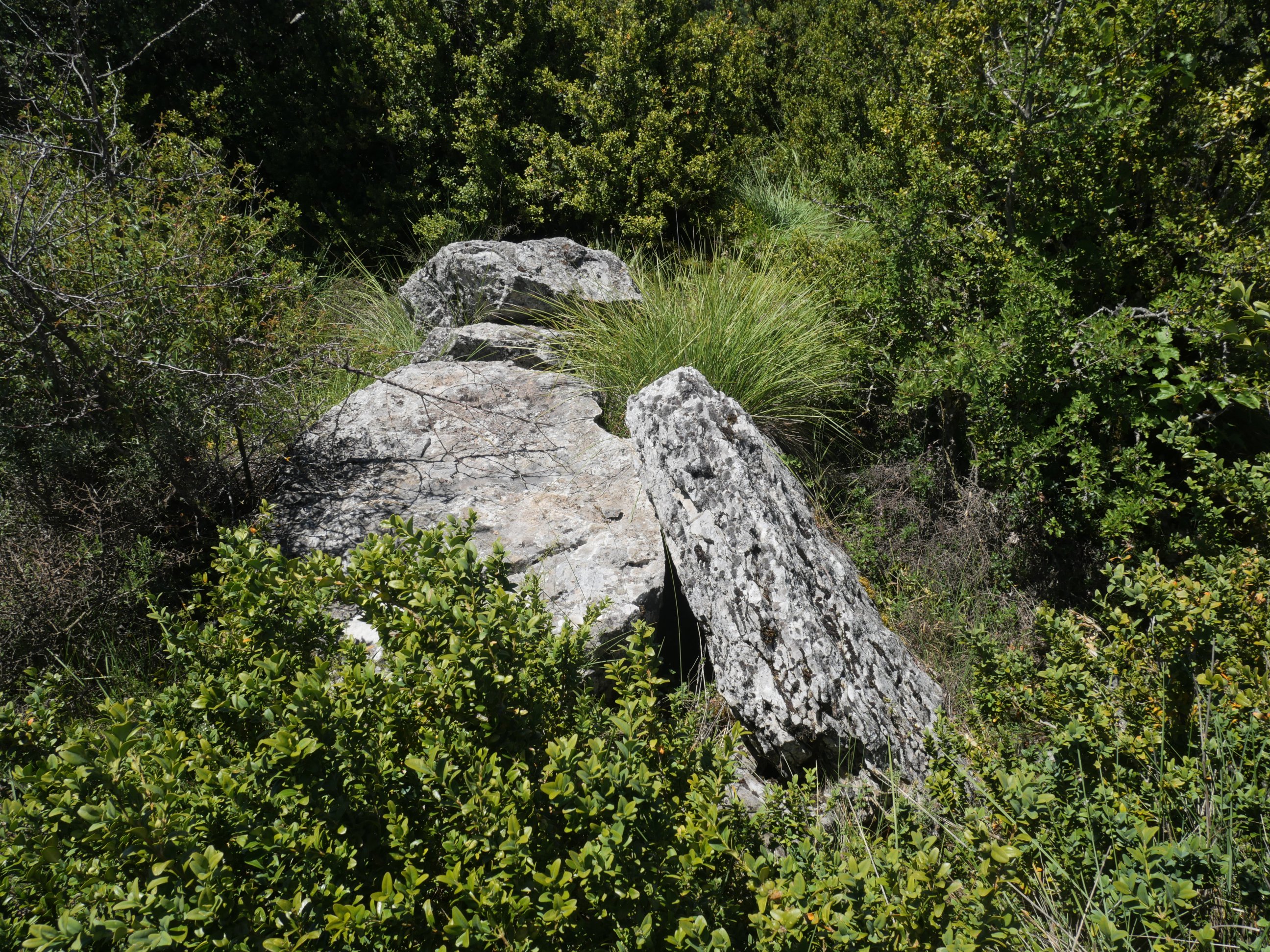 Valdepeña trikuharria 2