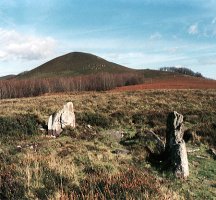 Irakurri aldetik ikusita