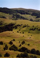 Hegoaldeko isurialdea