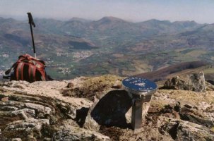 Abartan mendiko buzoia