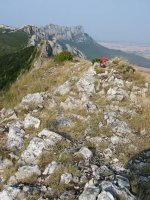 Tontorra eta Eko ikuspegia