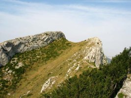 Tontorraren ikuspegi zabala Mko gandorretik