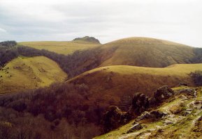 Lindus aldetik ikusita