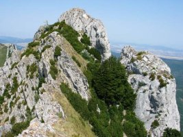 Tontorraren ingurunea ekialdetik