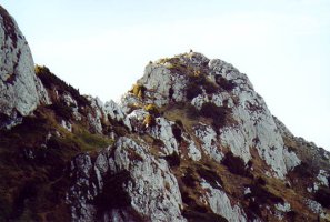 Tontorrerako azken metroak