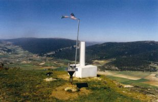 San Vitores tontorrean