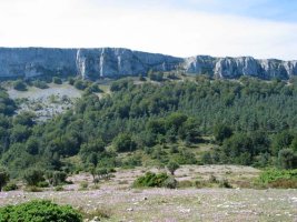 Iparraldeko isurialdea, hegaztien behatokitik
